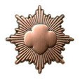 bronze_pin bronze_pin
