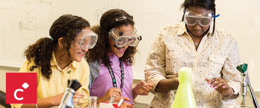 Girl Scout Cadettes What Cadettes Do